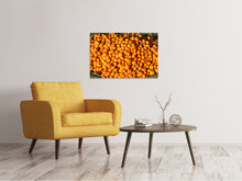 Laden Sie das Bild in den Galerie-Viewer, Leinwandbild Frische Mandarinen
