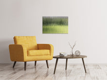 Laden Sie das Bild in den Galerie-Viewer, Leinwandbild Satiniertes Glas