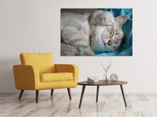 Laden Sie das Bild in den Galerie-Viewer, Leinwandbild Katzen Mama mit Baby