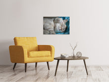 Laden Sie das Bild in den Galerie-Viewer, Leinwandbild Katzen Mama mit Baby