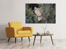 Laden Sie das Bild in den Galerie-Viewer, Leinwandbild Tiger Kitten