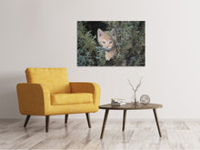Laden Sie das Bild in den Galerie-Viewer, Leinwandbild Tiger Kitten