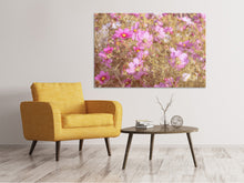 Laden Sie das Bild in den Galerie-Viewer, Leinwandbild Das Schmuckkörbchen Cosmea