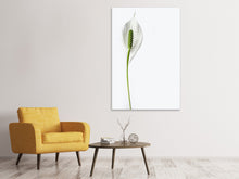Laden Sie das Bild in den Galerie-Viewer, Leinwandbild Die Friedenslilie