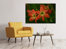 Laden Sie das Bild in den Galerie-Viewer, Leinwandbild Lilien in orange
