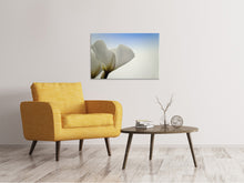 Laden Sie das Bild in den Galerie-Viewer, Leinwandbild Das Blatt einer Lilienblüte