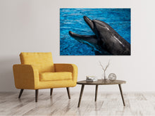 Laden Sie das Bild in den Galerie-Viewer, Leinwandbild Freundlicher Delphin