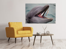 Laden Sie das Bild in den Galerie-Viewer, Leinwandbild Essenszeit für einen Delphin