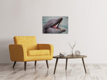 Laden Sie das Bild in den Galerie-Viewer, Leinwandbild Essenszeit für einen Delphin