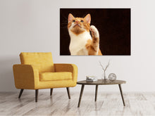 Laden Sie das Bild in den Galerie-Viewer, Leinwandbild Achtung kluge Katze