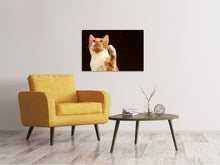 Laden Sie das Bild in den Galerie-Viewer, Leinwandbild Achtung kluge Katze