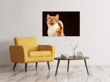 Laden Sie das Bild in den Galerie-Viewer, Leinwandbild Achtung kluge Katze