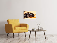 Laden Sie das Bild in den Galerie-Viewer, Leinwandbild Katzenpfote