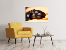 Laden Sie das Bild in den Galerie-Viewer, Leinwandbild Katzenpfote