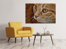 Laden Sie das Bild in den Galerie-Viewer, Leinwandbild Close up Katzenkopf