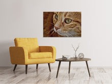 Laden Sie das Bild in den Galerie-Viewer, Leinwandbild Close up Katzenkopf