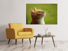 Laden Sie das Bild in den Galerie-Viewer, Leinwandbild Katzennase