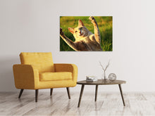 Laden Sie das Bild in den Galerie-Viewer, Leinwandbild Zeig die Krallen!