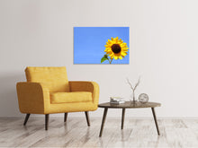 Laden Sie das Bild in den Galerie-Viewer, Leinwandbild Sonnenblume mit blauem Himmel