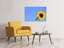 Laden Sie das Bild in den Galerie-Viewer, Leinwandbild Sonnenblume mit blauem Himmel