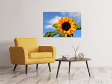 Laden Sie das Bild in den Galerie-Viewer, Leinwandbild Sonnenblume in der Blüte