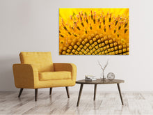 Laden Sie das Bild in den Galerie-Viewer, Leinwandbild Die Knospen der Sonnenblume in XXL