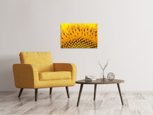 Laden Sie das Bild in den Galerie-Viewer, Leinwandbild Die Knospen der Sonnenblume in XXL