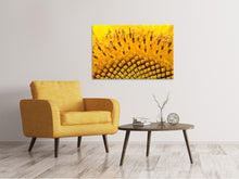 Laden Sie das Bild in den Galerie-Viewer, Leinwandbild Die Knospen der Sonnenblume in XXL