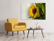 Laden Sie das Bild in den Galerie-Viewer, Leinwandbild Schöne Sonnenblume