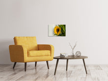 Laden Sie das Bild in den Galerie-Viewer, Leinwandbild Schöne Sonnenblume