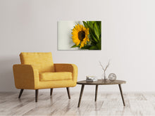 Laden Sie das Bild in den Galerie-Viewer, Leinwandbild Schöne Sonnenblume