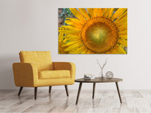 Laden Sie das Bild in den Galerie-Viewer, Leinwandbild Blütenstand einer Sonnenblume
