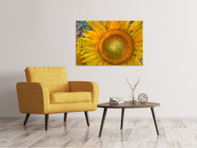 Laden Sie das Bild in den Galerie-Viewer, Leinwandbild Blütenstand einer Sonnenblume