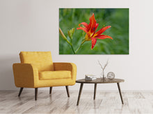 Laden Sie das Bild in den Galerie-Viewer, Leinwandbild Lilienblüte in der Natur