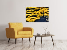 Laden Sie das Bild in den Galerie-Viewer, Leinwandbild Berg Mythos