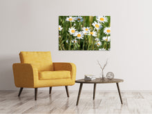 Laden Sie das Bild in den Galerie-Viewer, Leinwandbild XL Gänseblümchen