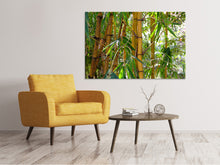 Laden Sie das Bild in den Galerie-Viewer, Leinwandbild Wilder Bambus