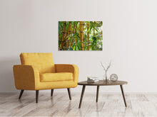 Laden Sie das Bild in den Galerie-Viewer, Leinwandbild Wilder Bambus
