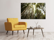 Laden Sie das Bild in den Galerie-Viewer, Leinwandbild Arashiyama Japan