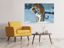 Laden Sie das Bild in den Galerie-Viewer, Leinwandbild Tiger im Schnee