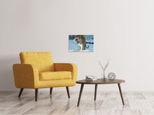 Laden Sie das Bild in den Galerie-Viewer, Leinwandbild Tiger im Schnee