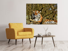 Laden Sie das Bild in den Galerie-Viewer, Leinwandbild Stolzer Tiger
