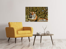 Laden Sie das Bild in den Galerie-Viewer, Leinwandbild Stolzer Tiger