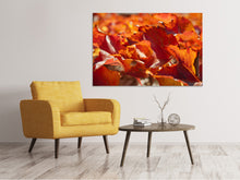 Laden Sie das Bild in den Galerie-Viewer, Leinwandbild Schönes Herbstlaub