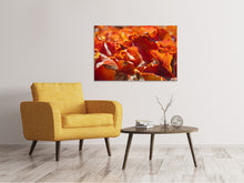 Laden Sie das Bild in den Galerie-Viewer, Leinwandbild Schönes Herbstlaub