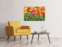 Laden Sie das Bild in den Galerie-Viewer, Leinwandbild Ein buntes Tulpenfeld