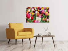 Laden Sie das Bild in den Galerie-Viewer, Leinwandbild Die Farben der Tulpen