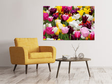 Laden Sie das Bild in den Galerie-Viewer, Leinwandbild Buntes Tulpenfeld