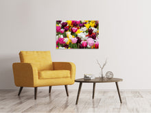 Laden Sie das Bild in den Galerie-Viewer, Leinwandbild Buntes Tulpenfeld