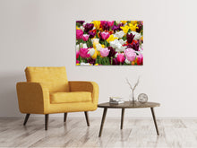 Laden Sie das Bild in den Galerie-Viewer, Leinwandbild Buntes Tulpenfeld